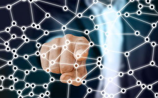 开云体育足球-中国足球青训梯队人员年龄层结构，足球青训年龄段